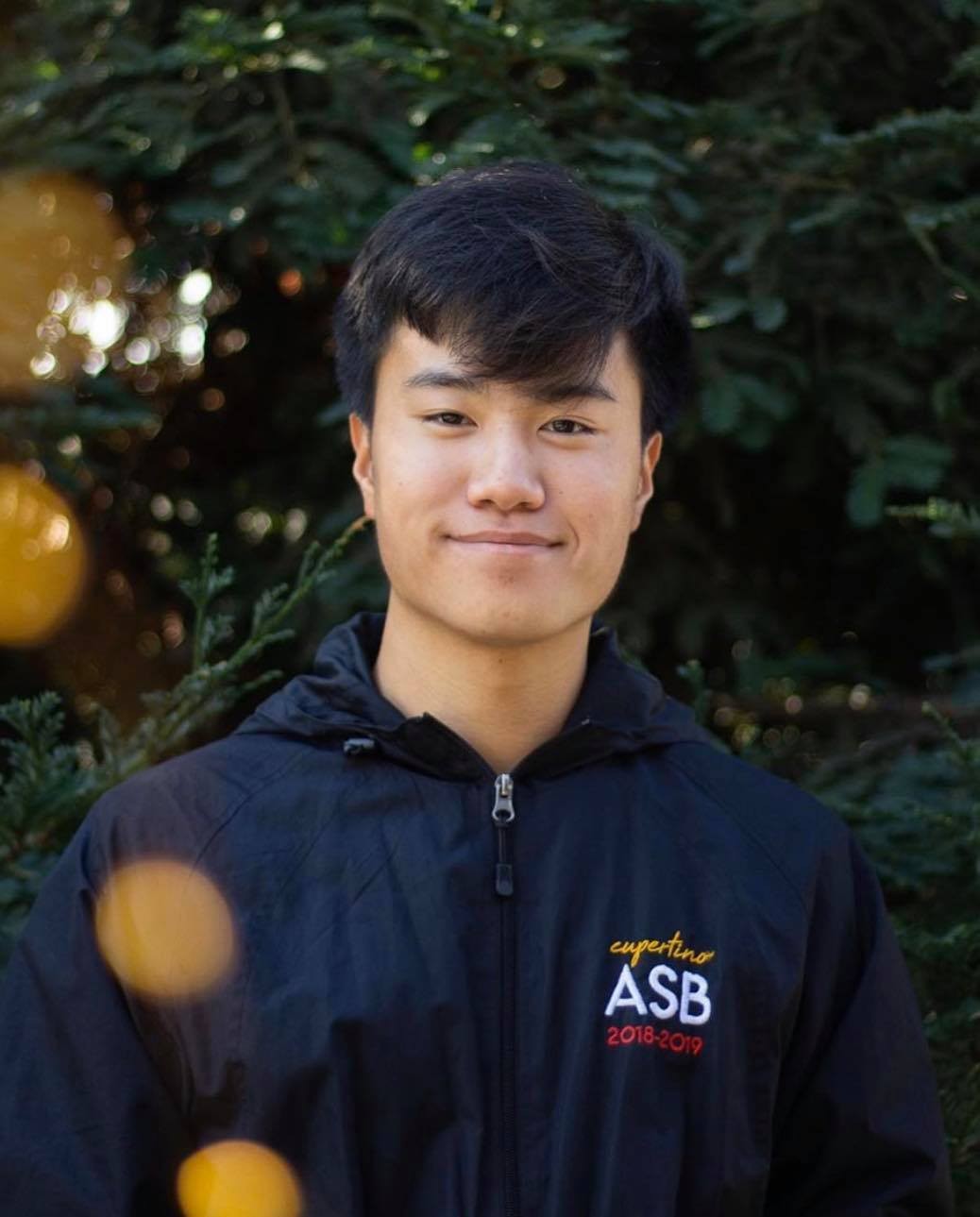 Early Intervention Strategies in Youth Mental Health