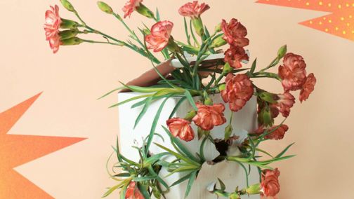 Going Rogue: Positive Psychology