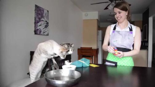 Cooking up Contamination OCD Awareness